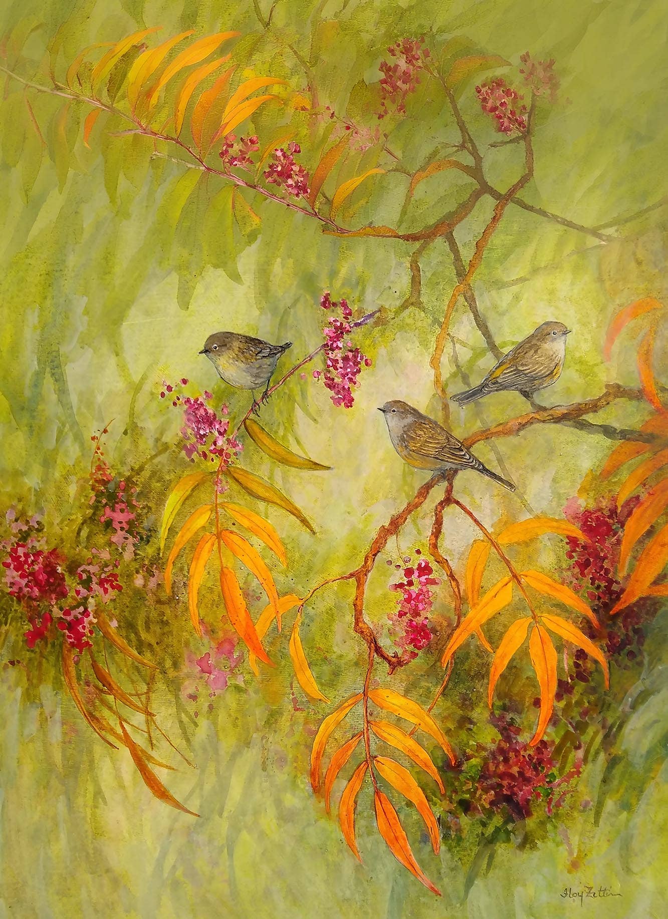 Pistache and Warblers | FFZ355 | Foy Zitten