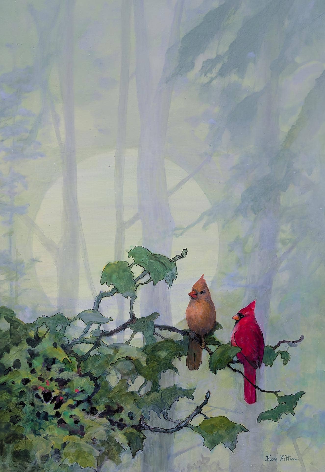 Northern Cardinal | FFZ354 | Foy Zitten