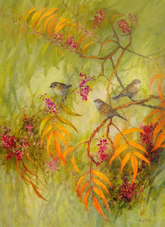 Pistache and Warblers | FFZ355 | Foy Zitten