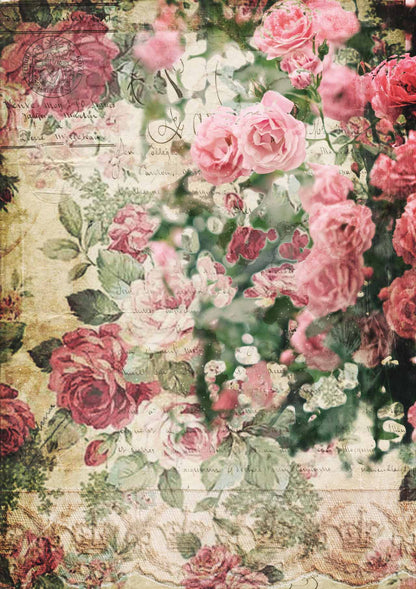 Decoupage Queen A4 Rice Paper Splash of Roses