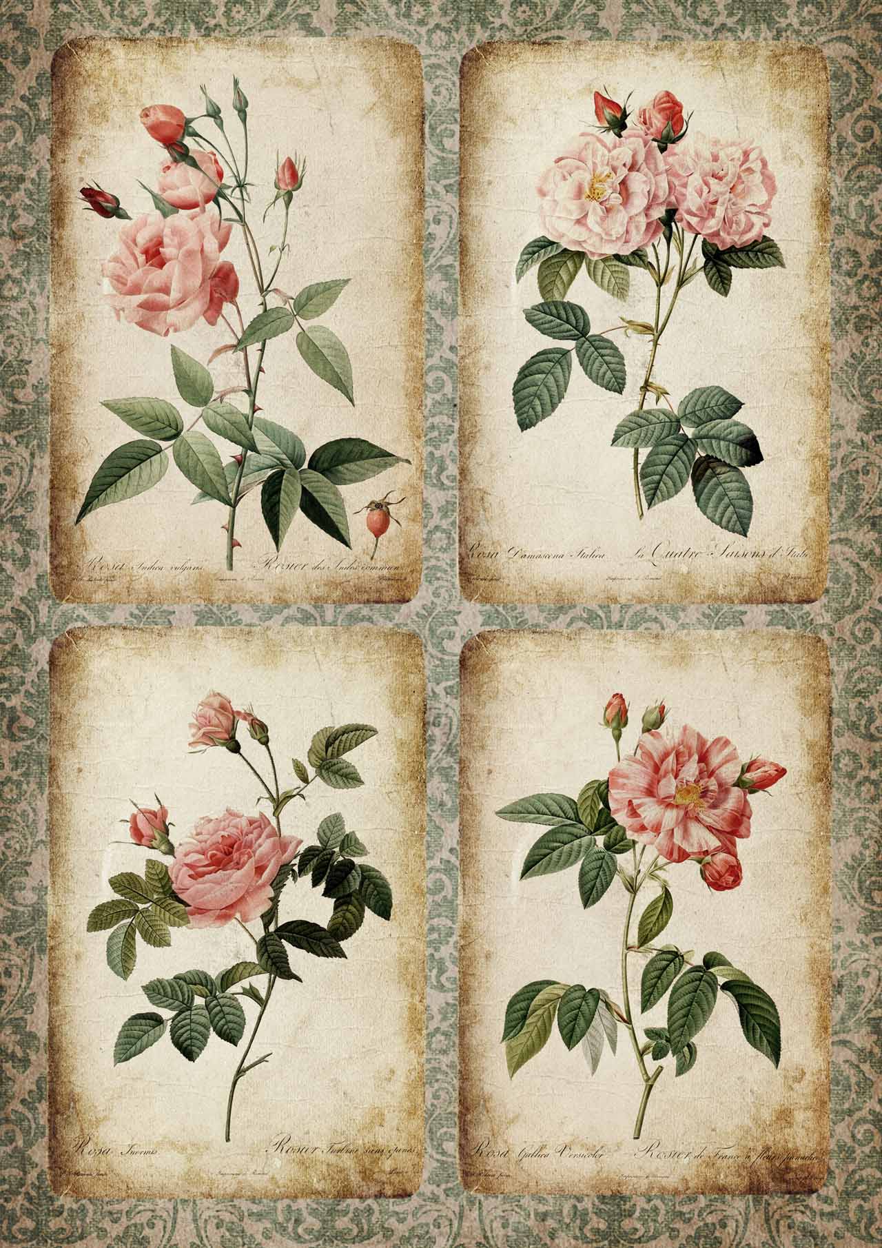 Decoupage Queen A4 Rice Paper Rose Cards