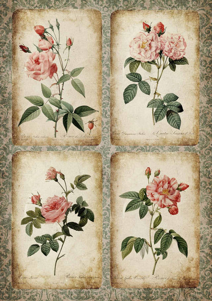 Decoupage Queen A4 Rice Paper Rose Cards