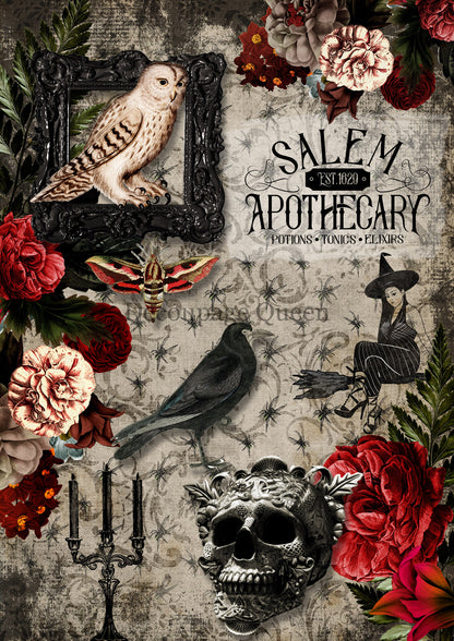Decoupage Queen Rice Paper Salem Apothecary A4 Ltd Edition