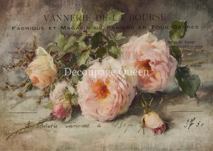 Decoupage Queen A4 Rice Paper Vanessa