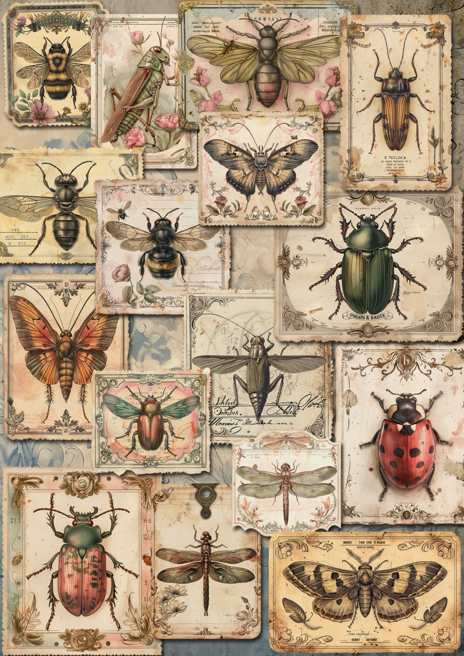 Decoupage Queen A3 & A4 Rice Paper  Insects – Iveta Ziendina 2026