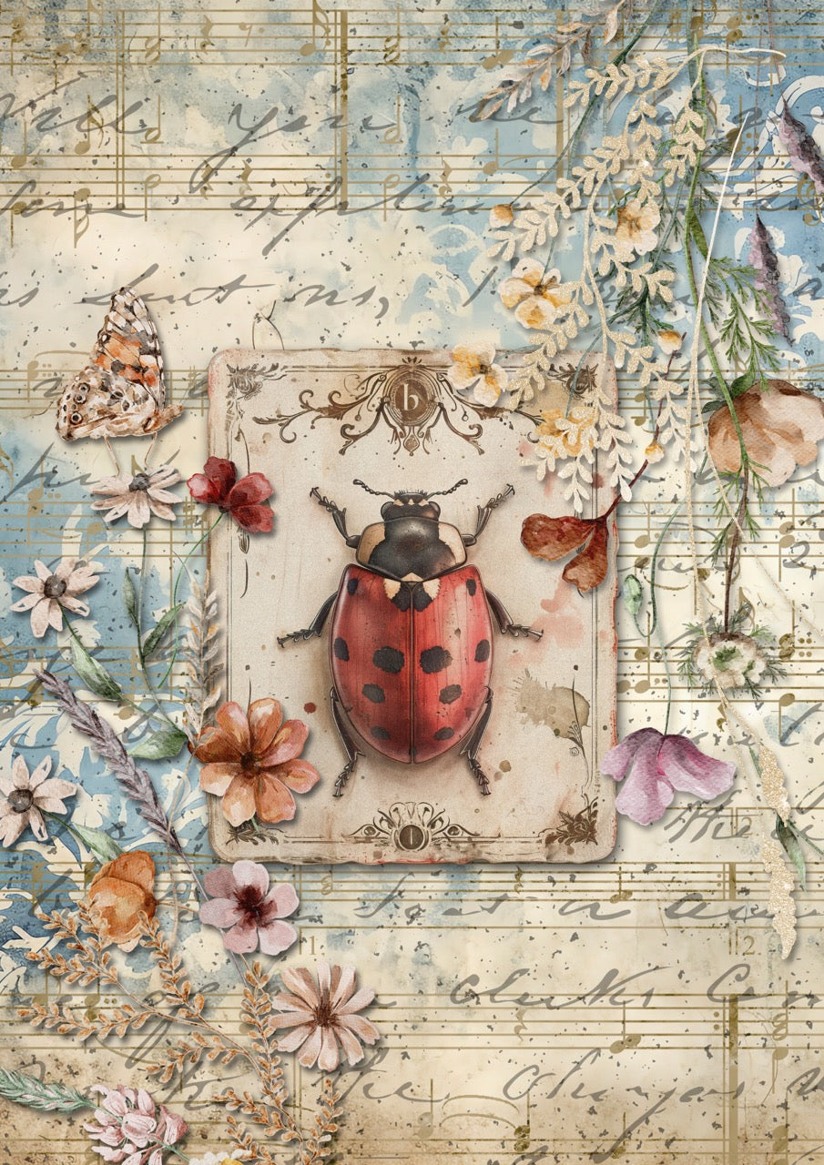 Decoupage Queen A4 Rice Paper Ladybird – Iveta Ziendina 2026