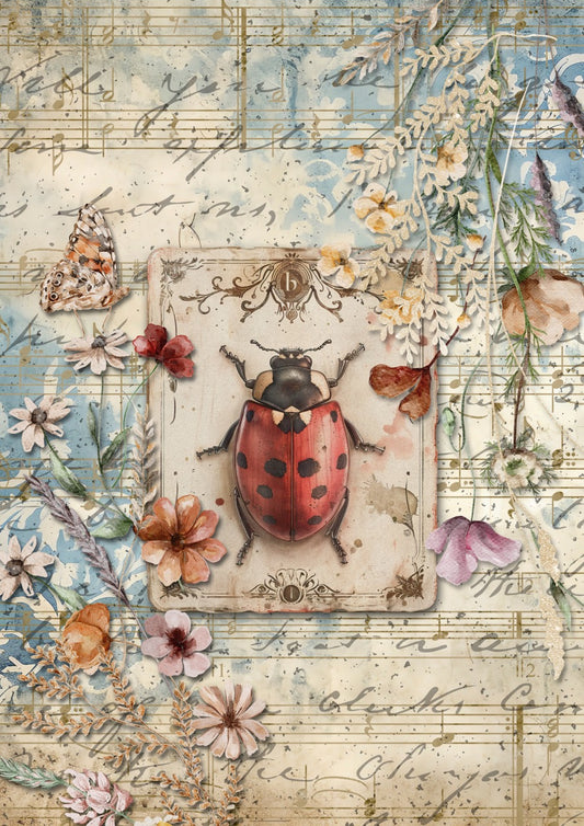 Decoupage Queen A4 Rice Paper Ladybird – Iveta Ziendina 2026