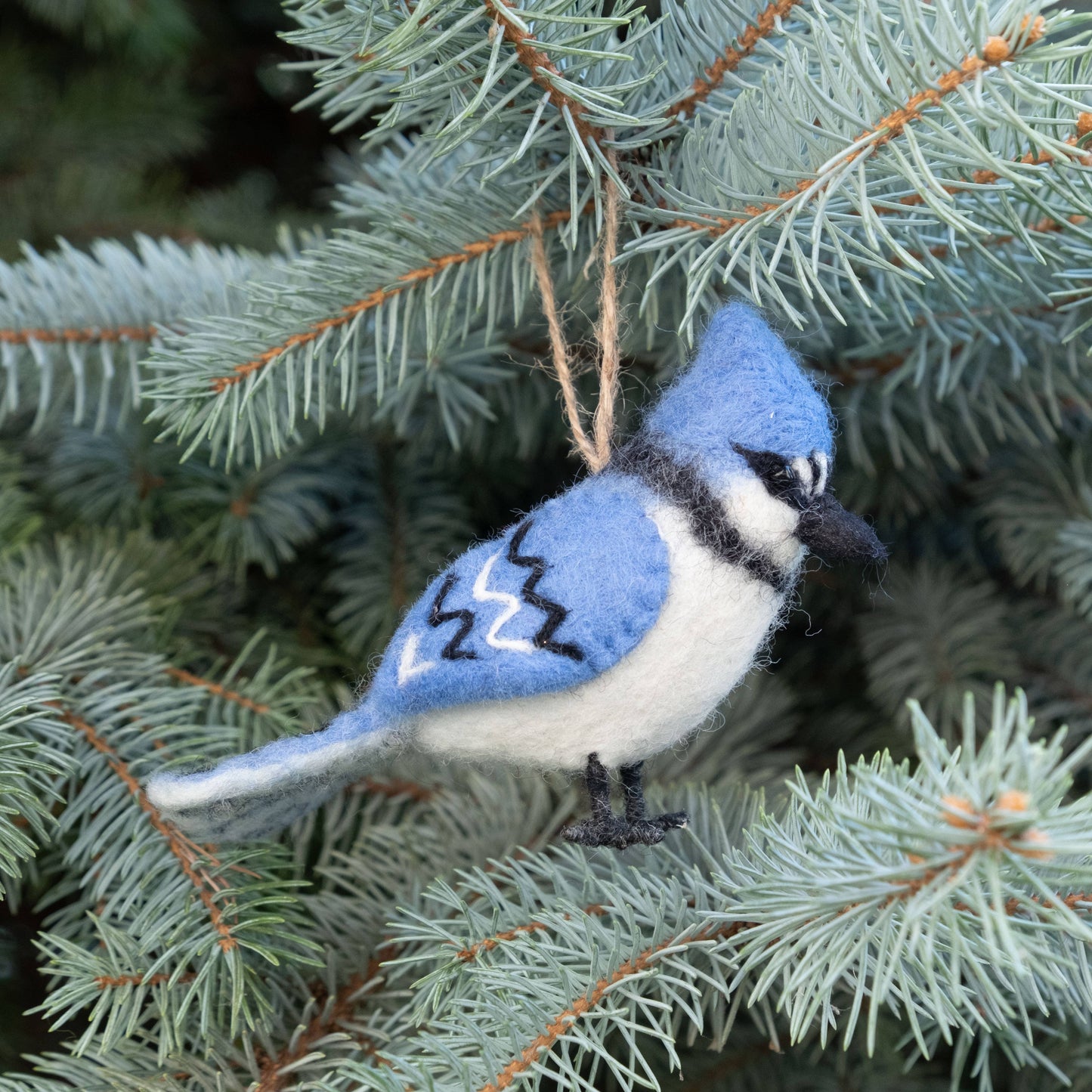 Ornament - Bird - Blue Jay