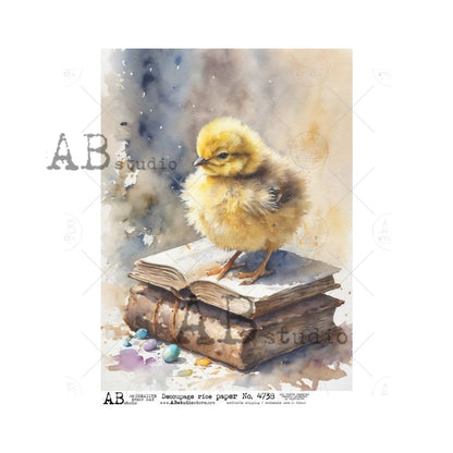 AB Studios A4 Rice Paper for Decoupage 4738