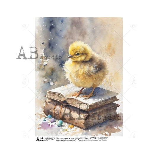 AB Studios A4 Rice Paper for Decoupage 4738